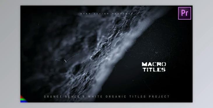 Covid Titles (Videohive 33658381)