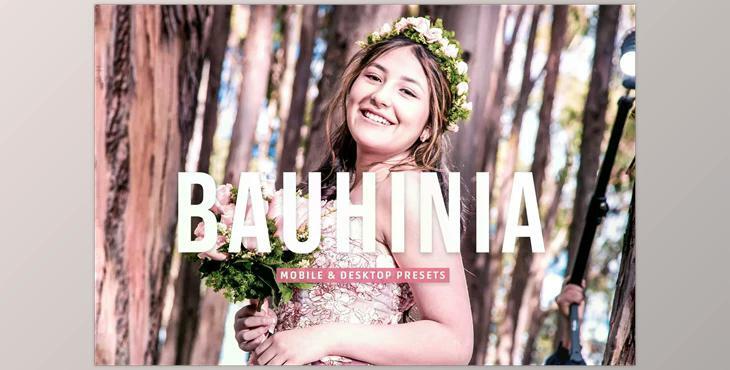 Bauhinia Pro Lightroom Presets CreativeMarket - 7003225