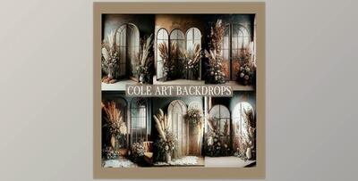 Boho Rustic Set Digital Backdrops, Maternity Backdrop Overlays, Studio Backdrop Overlays, Fine Art Textures, Photoshop Overlays