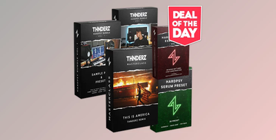 THNDERZ The Hardpsy Vault Vol 2