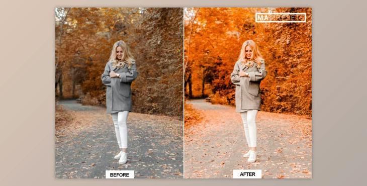 10 AUTUMN MOODY Lightroom Presets