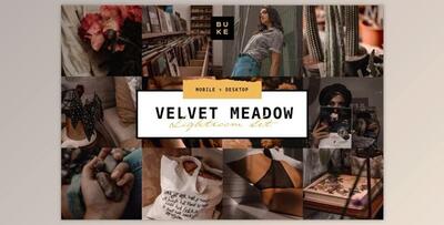 4 Moody Aesthetic Lightroom Presets