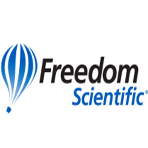 JAWS Screen Reader 18.0.2118 x86/x64