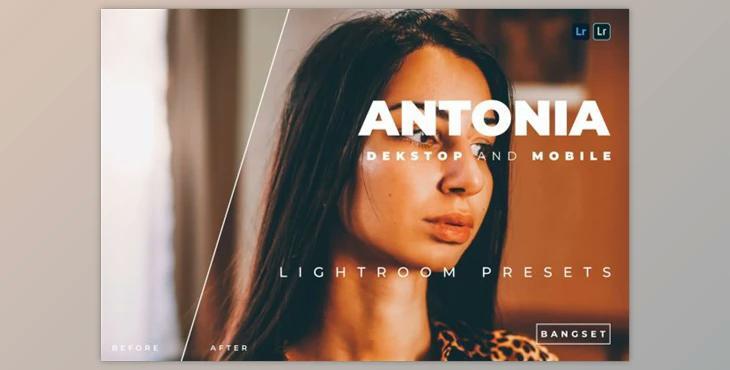 Antonia Desktop and Mobile Lightroom Preset by Bangset