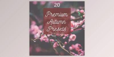 Pack 20 Premium Autumn Fall Presets (LRTEMPLATE, JPG)