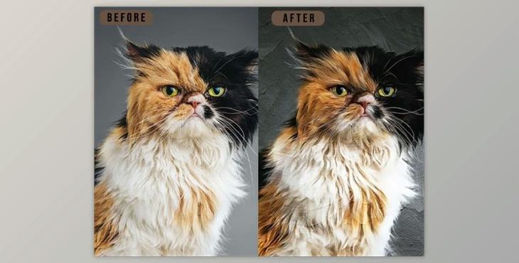 Real Paint – Photoshop Action – GraphicRiver 29809568