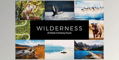 20 Wilderness LR Presets CreativeMarket-5461646