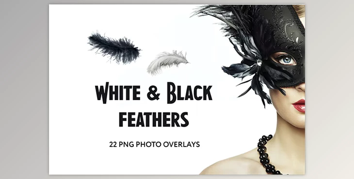 22 White and Black feathers Photo Overlays GraphicRiver - 34831392