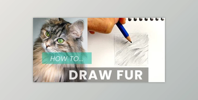 How To Draw Fur: Pencil Shading Techniques For Drawing Animals