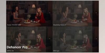 Dehancer Pro for OFX v7.1.3 (Win)