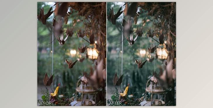 Sean Dalton – Food & Cafe Preset Pack