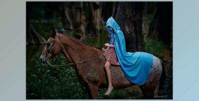 Alchemist 1.1 – PS Actions