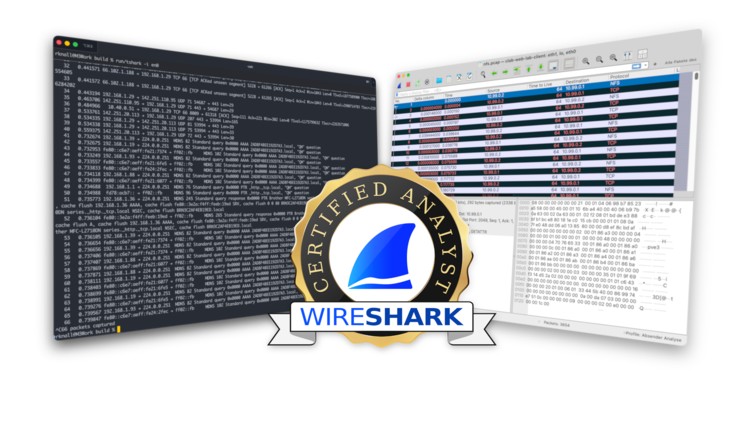 Wireshark v4.6.9