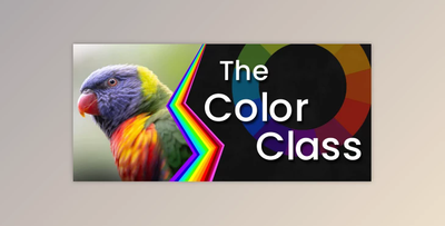 Practical Color Theory: Everything you need to know for Art & Design