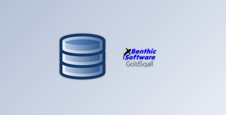 Benthic Software GoldSqall v2.0.202 (x86 & x64) + License Key