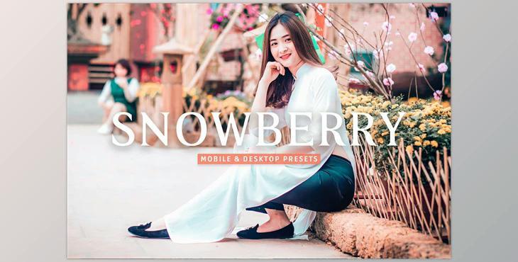 Snowberry Pro Lightroom Presets CreativeMarket - 7387227