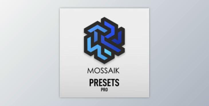 Ayush Aggarwal - Mossaik Presets Pro v2.3.30 (Win)