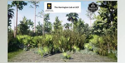 Unreal engine - Wet Flatwoods Habitat Brush v5.3