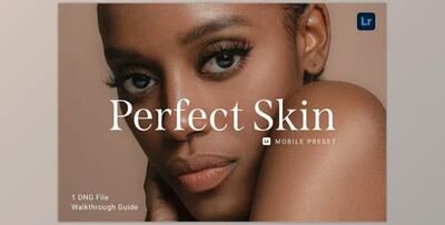 Perfect Skin Lightroom Preset CreativeMarket-5913924 (DNG)