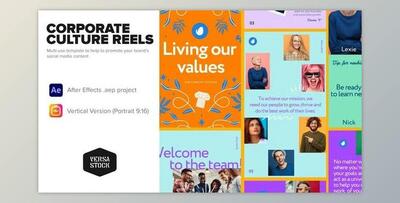 Vertical Corporate Culture Book Stories (Videohive 33838652) - AE Project