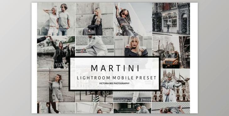 Mobile Lightroom Preset MARTINI (DNG)