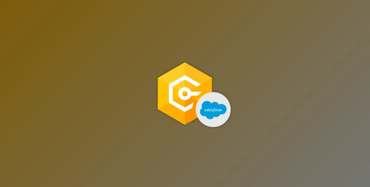 Devart dotConnect for Salesforce Professional v5.3.191 (14 Jan 2025) + Patcher