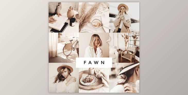 Loox – Fawn Lightroom Presets