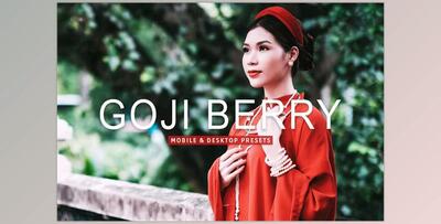 Goji Berry Pro Lightroom Presets CreativeMarket - 7389007