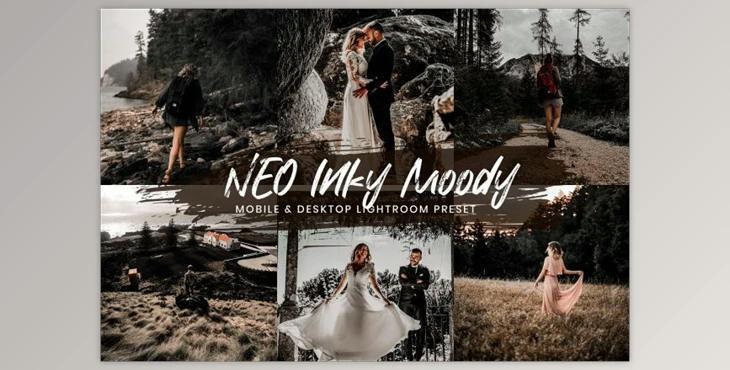 15 Lightroom Presets Neo Inky Moody By EpicoMedia (Mob, Desk)