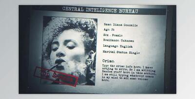 Criminal Profile (Videohive 29479847) - AE Project