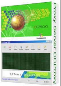 CCProxy 8.0 Build 20250207