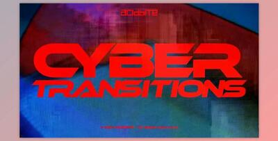 Cyber Transitions - ACIDBITE