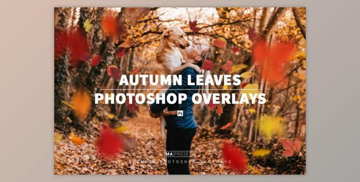 70 AUTUMN LEAVES OVERLAYS