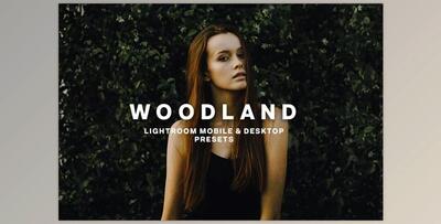 WOODLAND Lightroom Presets CreativeMarket-5373041 (DNG , Irtemplate)