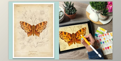 Easy Procreate Watercolors – Create a Stylized Scientific Illustration