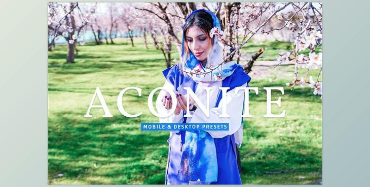Aconite Pro Lightroom Presets CreativeMarket - 7174293
