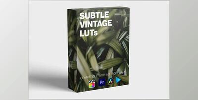 Subtle Vintage LUT Pack - FCPX Full Access