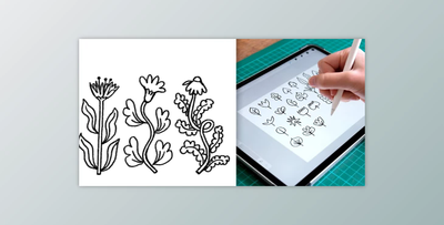 Flowers & Foliage: Drawing Plants & Botanical Illustrations in Procreate