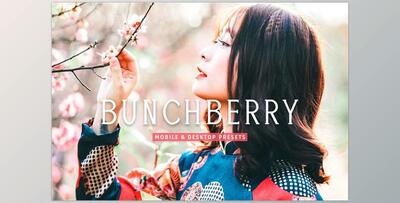 Bunchberry Pro Lightroom Presets CreativeMarket - 7469777