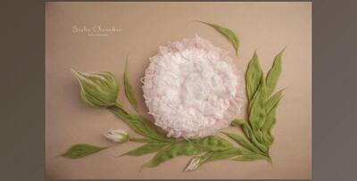 Sasha Chomakov – Newborn Digital Backdrop – Flower
