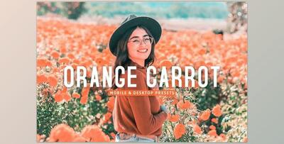 Orange Carrot Pro Lightroom Presets CreativeMarket - 7382491