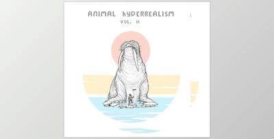 Mattia Cellotto Animal Hyperrealism Vol II