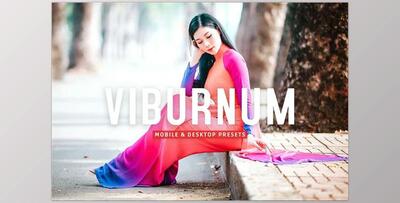 Viburnum Pro Lightroom Presets CreativeMarket - 7387234