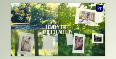 Lovely Tree Photo Gallery (Videohive 38569897) - AE Project