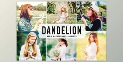 Dandelion Pro Lightroom Presets By Creativetacos
