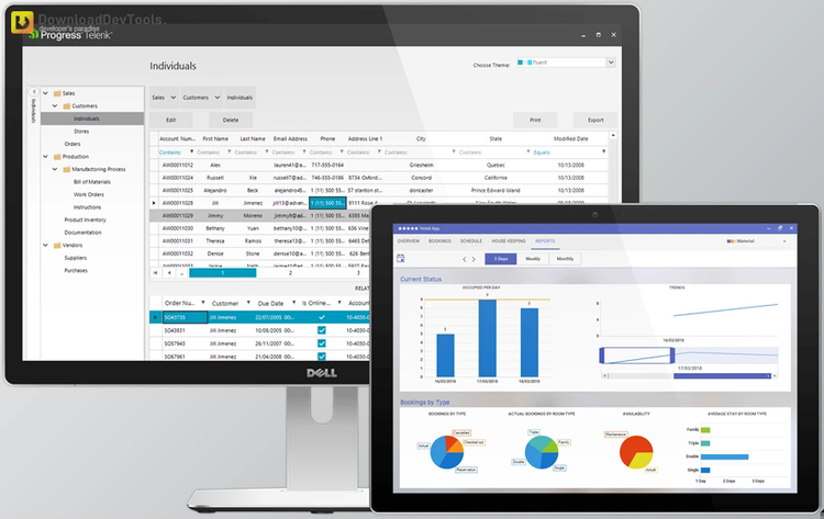 Progress Telerik UI for WinForms 2024 Q4 v2024.4.1113 (11 Nov 2024) Retail Version