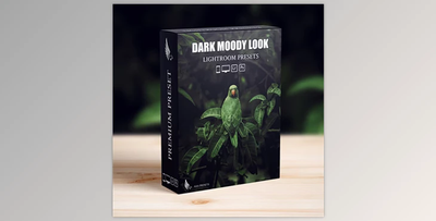 Dark Moody New Look Lightroom Presets Pack - 52396382