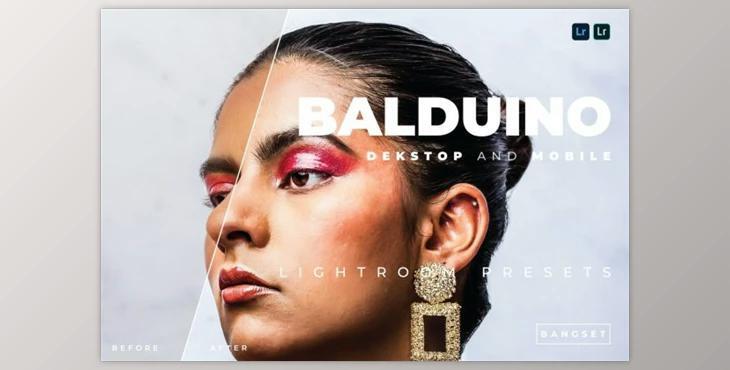 Balduino Desktop and Mobile Lightroom Preset by Bangset