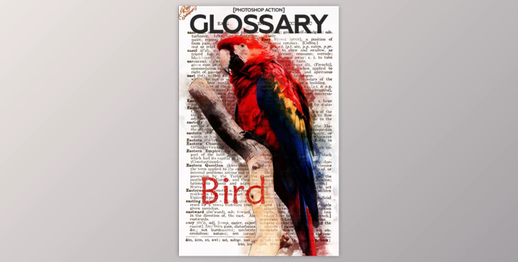 Glossary Photoshop Action By RedVokinputs (PSD, ABR, PAT, ATN)