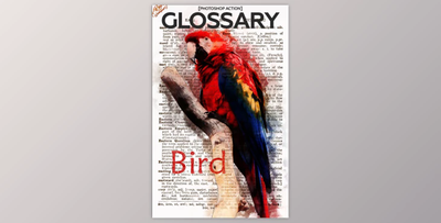 Glossary Photoshop Action By RedVokinputs (PSD, ABR, PAT, ATN)